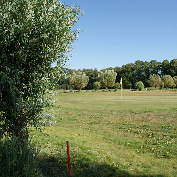 Golfbaan met bomenrand
